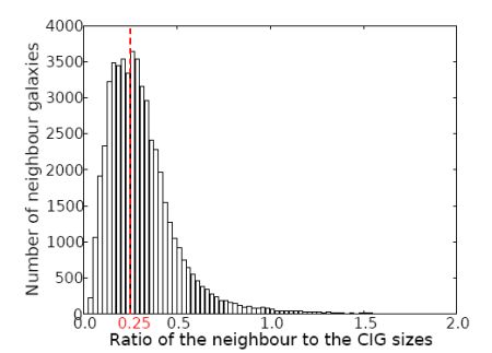 Distribution of major axis CIG galaxies