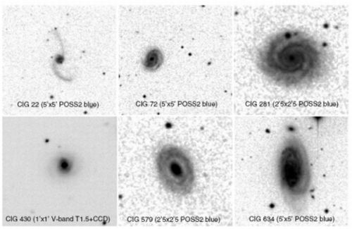 Amiga CIG Galaxies Morphology