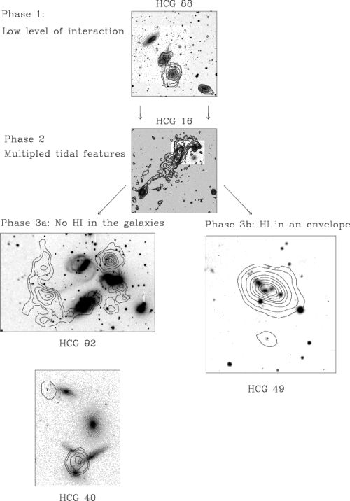 Evolutionary Scenario for HCGs